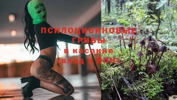 a pvp Радужный