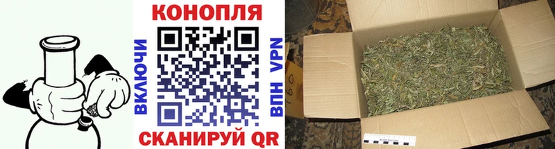 Каннабис план Хотьково